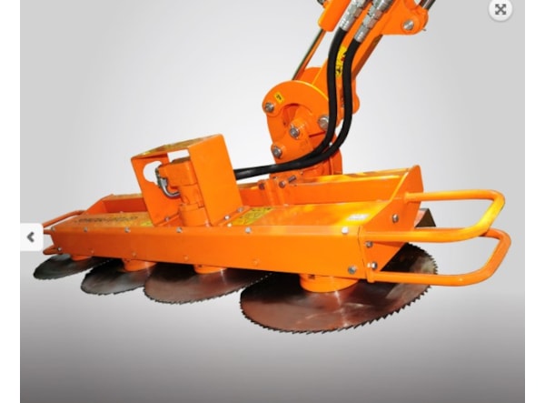 Curatator crengi Pronar GP200 - 4 discuri  de vanzare